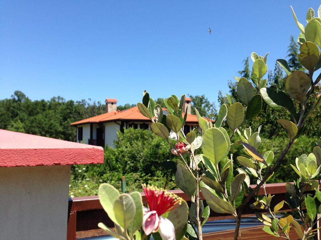 Zapovedni Rai Hotel พรีมอร์สโก ห้อง รูปภาพ